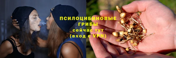 трава Нязепетровск