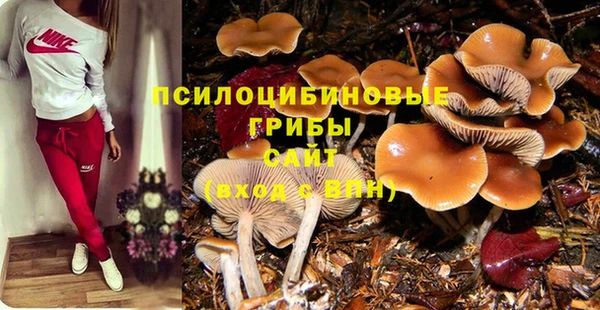 кристаллы Няндома