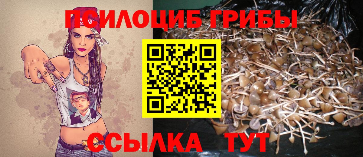 Псилоцибиновые грибы MAGIC MUSHROOMS  Вход с VPN  Азнакаево 